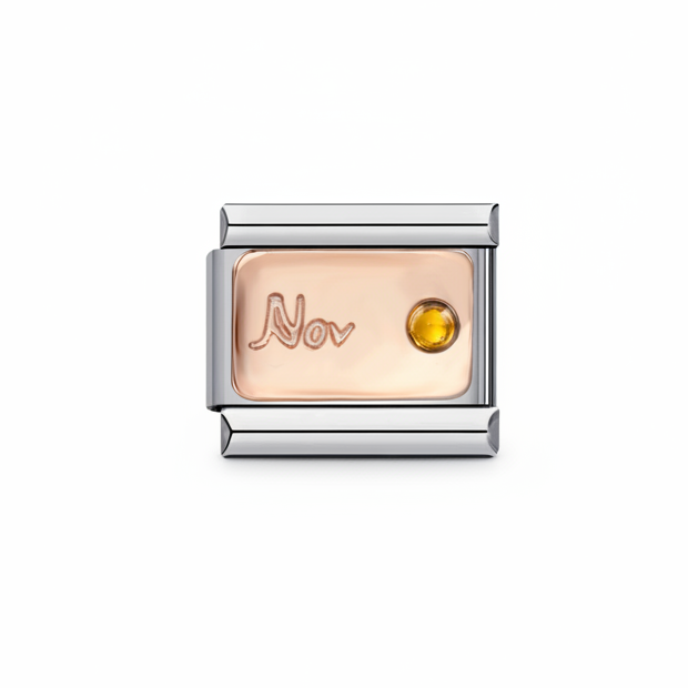 CHARM COLECCIÓN MESES (NOVEMBER / NOVIEMBRE)