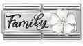 CHARM DESTELLO COLECCIÓN FAMILY (¨FAMILIA¨)