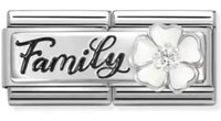 CHARM DESTELLO COLECCIÓN FAMILY (¨FAMILIA¨)