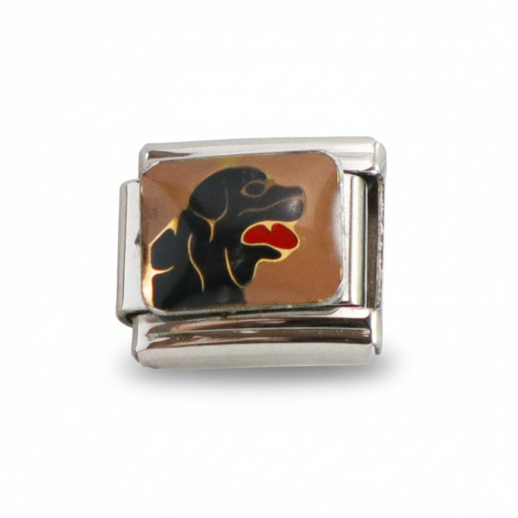 Charm coleccion dark (Mascota)