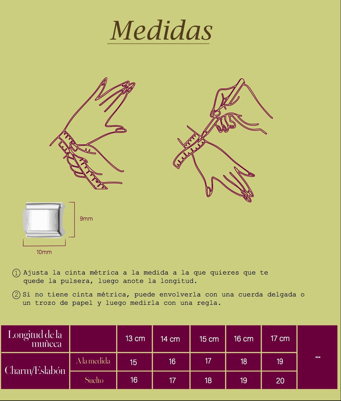 Conector Apple Watch